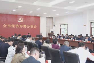 罗毅君主持召开全市经济形势分析会