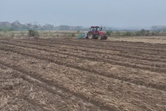 鼎城：智慧农机助力油菜增产增收