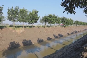 安乡：冬修水利正当时 夯实基础惠民生