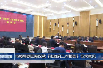 市领导到武陵区就《市政府工作报告》征求意见