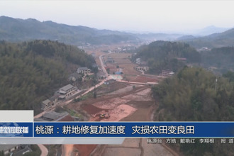 桃源：耕地修复加速度 灾损农田变良田
