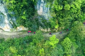 【新时代 新雷锋】国网湖南电力东方红（壶瓶山电骡子）共产党员服务队