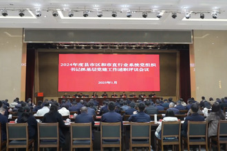 常德市召开2024年度县市区和市直行业系统党组织书记抓基层党建工作述职评议会议