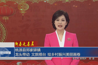 新春走基层 桃源县郑家驿镇：龙头带动 文旅搭台 绘乡村振兴美丽画卷