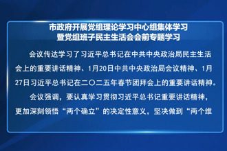 市政府开展党组理论学习中心组集体学习暨党组班子民主生活会会前专题学习