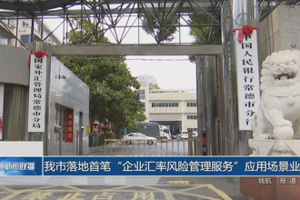 常德市落地首笔“企业汇率风险管理服务”应用场景业务