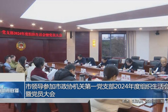 市领导参加市政协机关第一党支部2024年度组织生活会暨党员大会