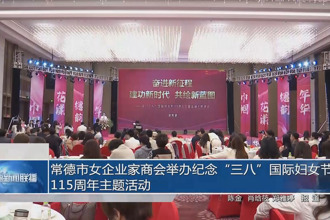 常德市女企业家商会举办纪念“三八”国际妇女节115周年主题活动