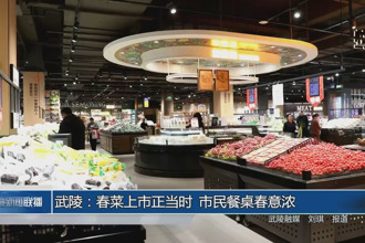 武陵：春菜上市正当时 市民餐桌春意浓