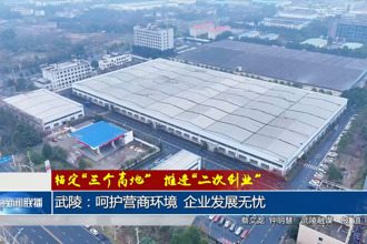 武陵：呵护营商环境 企业发展无忧