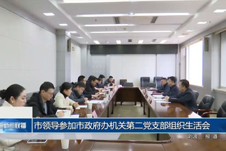 市领导参加市政府办机关第二党支部组织生活会