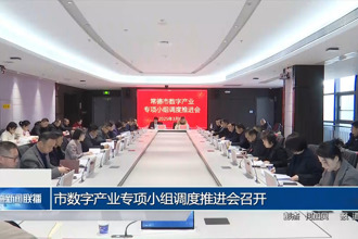 市数字产业专项小组调度推进会召开