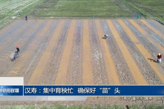 汉寿：集中育秧忙 确保好“苗”头