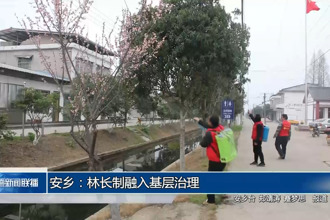安乡：林长制融入基层治理