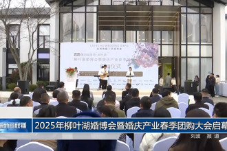 2025年柳叶湖婚博会暨婚庆产业春季团购大会启幕