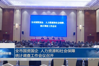 全市国资国企、人力资源和社会保障、统计调查工作会议召开