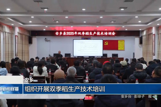 安乡：组织开展双季稻生产技术培训