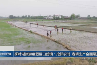 柳叶湖旅游度假区白鹤镇：抢抓农时 春耕生产全面展开
