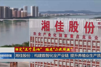 湘佳股份：构建数智化全产业链 提升养殖业生产质效