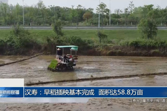 汉寿：早稻插秧基本完成 面积达58.8万亩