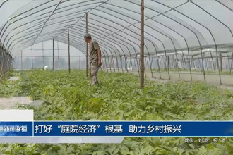 鼎城：打好“庭院经济”根基 助力乡村振兴