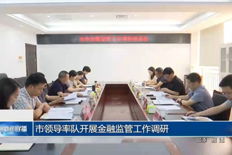 市领导率队开展金融监管工作调研