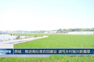 鼎城：推进高标准农田建设 谱写乡村振兴新篇章