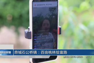 鼎城石公桥镇：百亩桃林绘富路