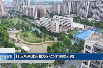 临澧：打造湘西北首批烟花文化主题公园