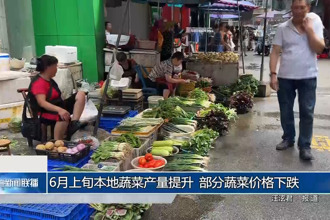 6月上旬本地蔬菜产量提升 部分蔬菜价格下跌