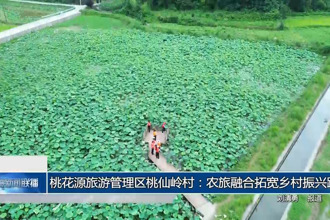桃花源旅游管理区桃仙岭村：农旅融合拓宽乡村振兴路