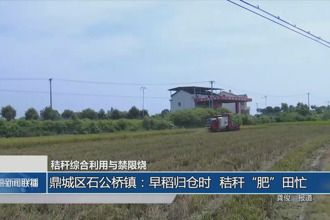 鼎城区石公桥镇：早稻归仓时 秸秆“肥”田忙