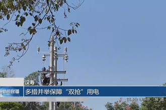 汉寿：多措并举保障“双抢”用电
