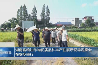 湖南省粮油作物优质品种丰产性展示现场观摩会在安乡举行