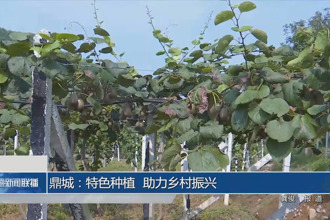 常德市巩固拓展脱贫攻坚成果同乡村振兴有效衔接工作推进会召开