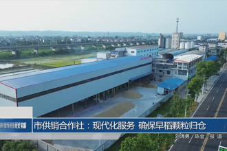 常德市供销合作社：现代化服务 确保早稻颗粒归仓