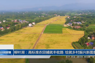 柳叶湖：高标准农田铺就丰收路 绘就乡村振兴新图景