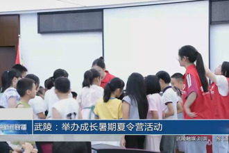 武陵：举办成长暑期夏令营活动