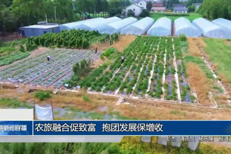 农旅融合促致富 抱团发展保增收