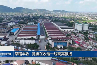 早稻丰收 党旗在收储一线高高飘扬