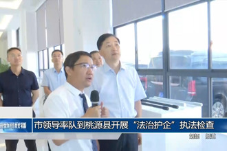 市领导率队到桃源县开展“法治护企”执法检查