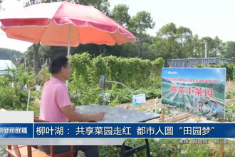 柳叶湖： 共享菜园走红 都市人圆“田园梦”