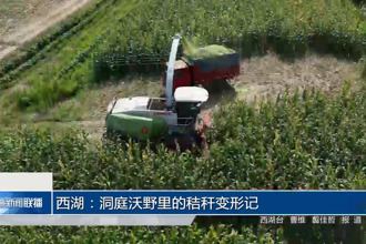 西湖：洞庭沃野里的秸秆变形记