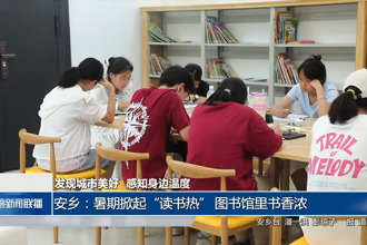 安乡：暑期掀起“读书热” 图书馆里书香浓