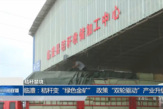 临澧：秸秆变“绿色金矿” 政策“双轮驱动”产业升级