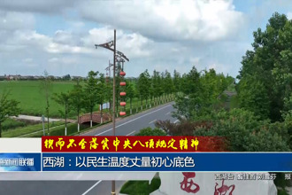 西湖：以民生温度丈量初心底色