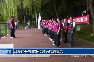 武陵区开展蚊媒传染病应急演练
