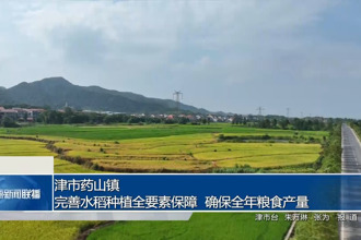 津市药山镇：完善水稻种植全要素保障 确保全年粮食产量