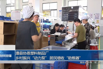 澧县协恩塑料制品厂：乡村振兴“动力泵” 居民增收“助推器”