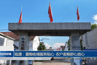 临澧：夏粮收储服务贴心 农户卖粮舒心放心